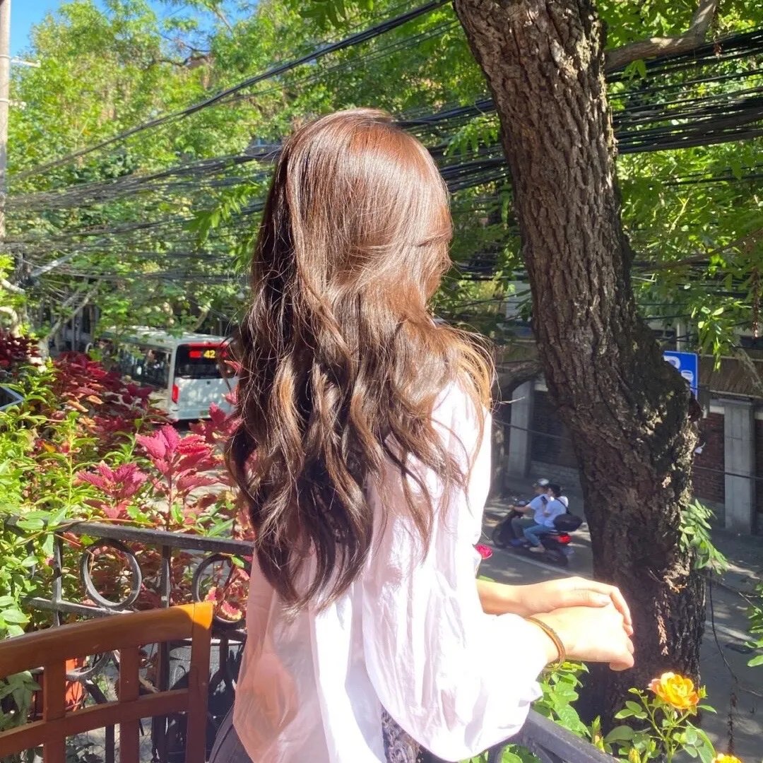 与鹦鹉同住